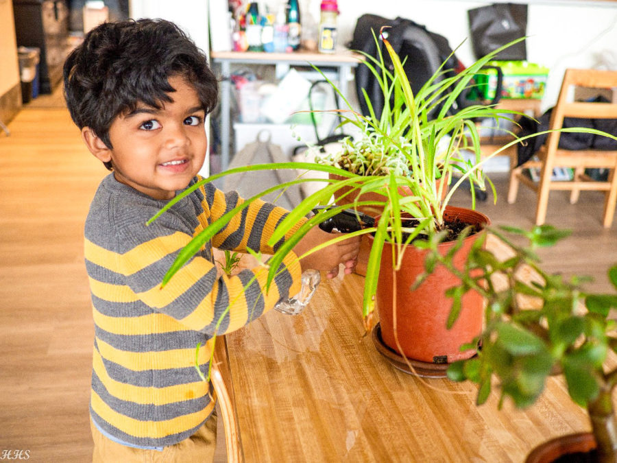 Boy watering plant