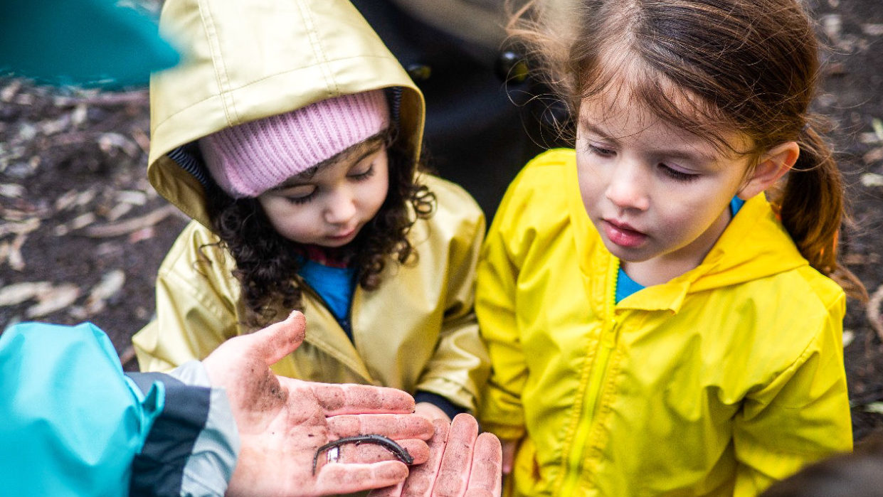 Children looking at a worm