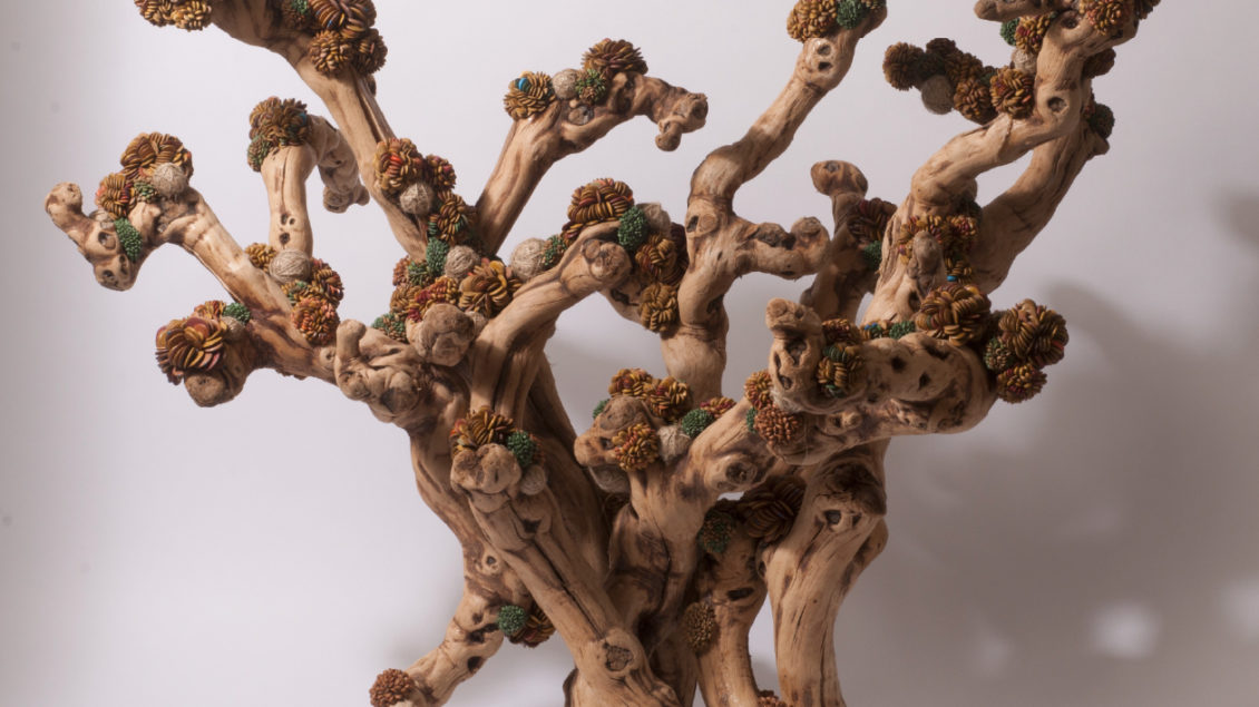 Nourish Your Roots