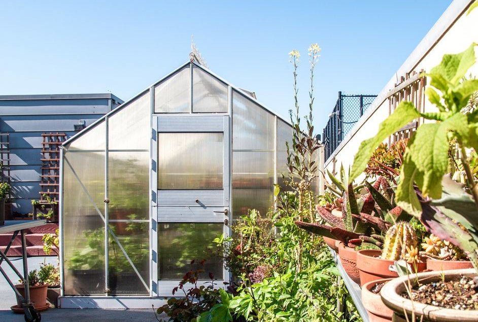 Photo of a greenhouse and plants