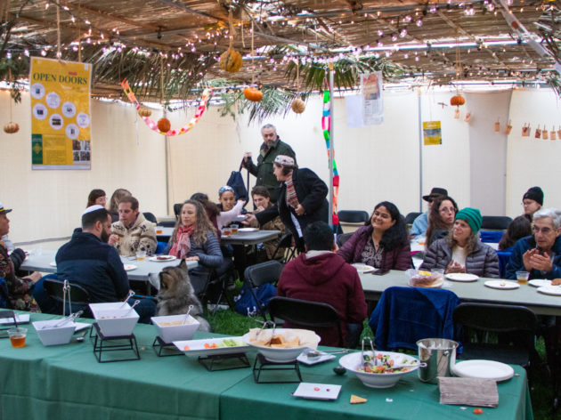 Image of Shabbat in the USF Open Doors Sukkah.